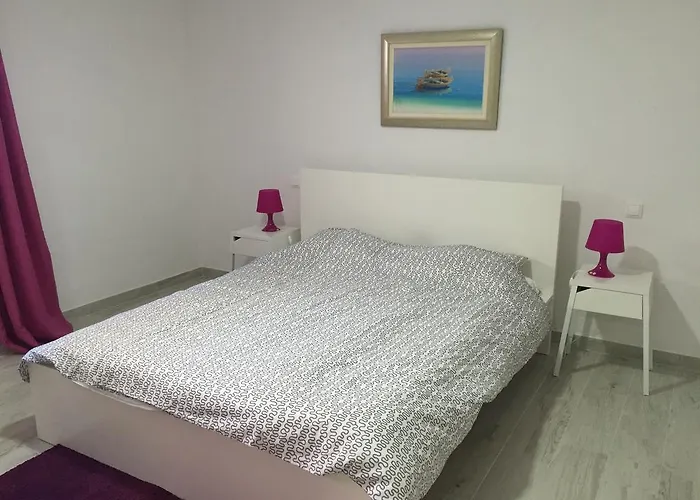 Paulina 特罗吉尔